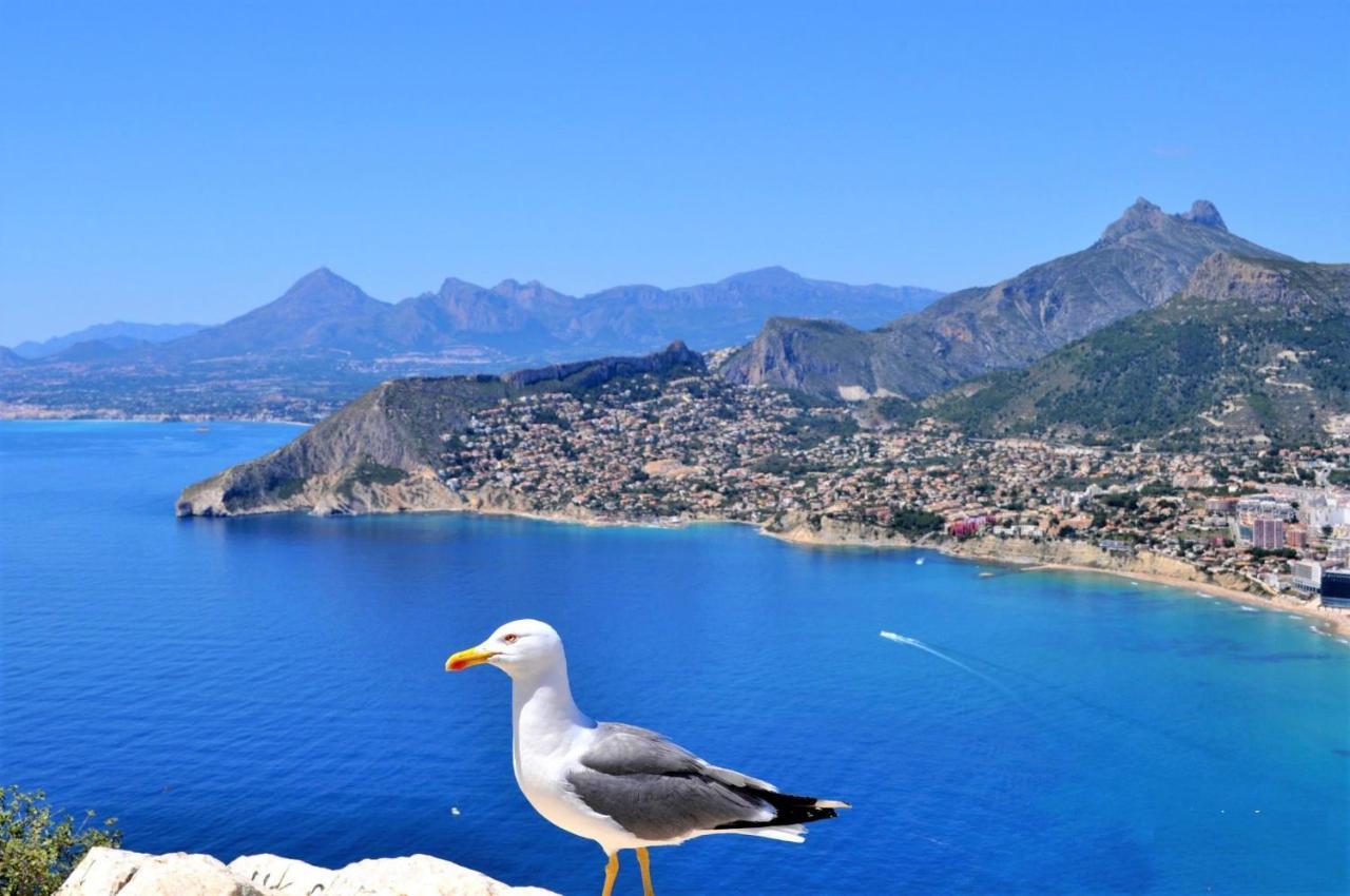 Acan0306 Calpe Eksteriør bilde